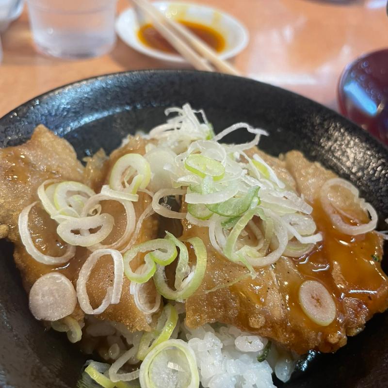 ミニ肉揚げ丼(テンホウ 諏訪インター店 )