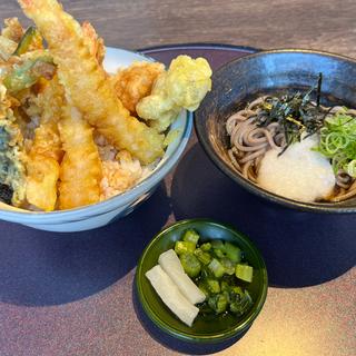 ごちそう海老天丼+ﾐﾆ冷やしとろろぶっかけそば(ごちそう村 豊中上新田店)