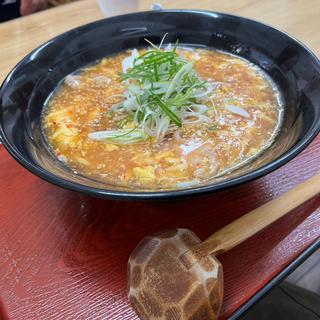 スパカラ麺(めん太郎 （創作饂飩 めん太郎）)