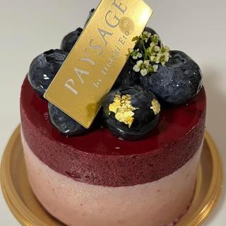ヴィオレ(PAYSAGE 代官山本店)