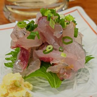 トビウオ(釣宿酒場マヅメ 野毛本店)