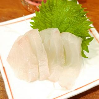 ヒブダイ(釣宿酒場マヅメ 野毛本店)