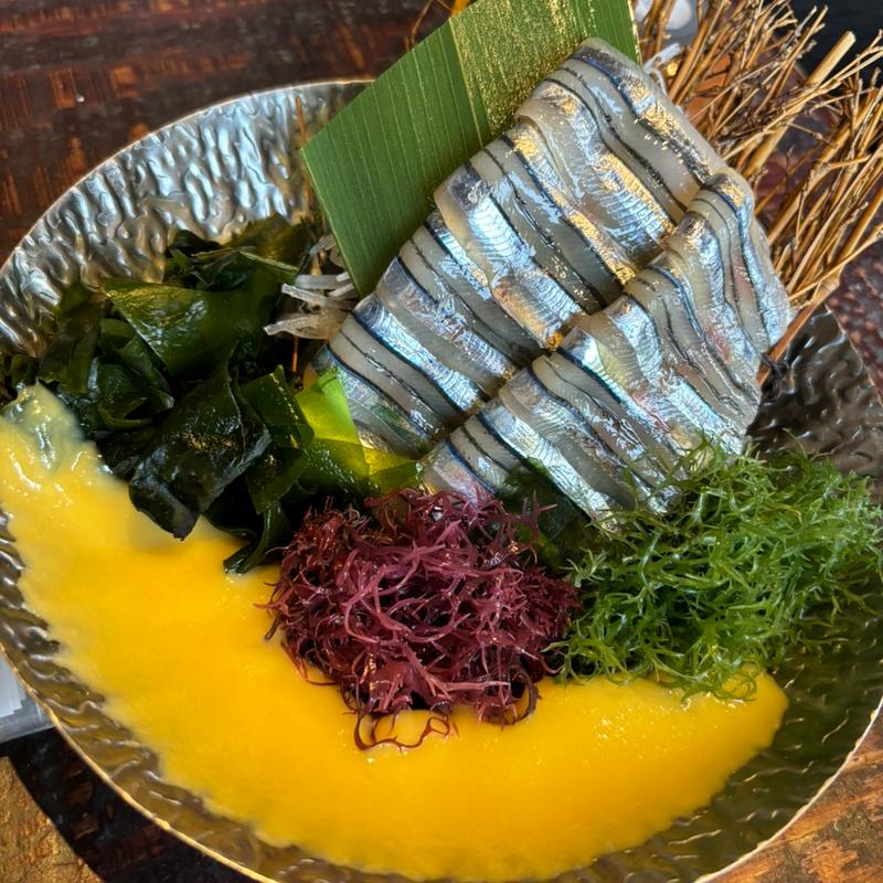 お刺身　キビナゴ(ガオリュウ （GAORYU　高柳　）)