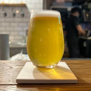 Tip to Tip HYUGANATSU Hazy Pale Ale　MIX(P2B Haus 吉祥寺)