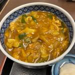 カレー丼(おかだ )