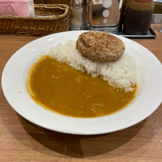 ハンバーグカレー