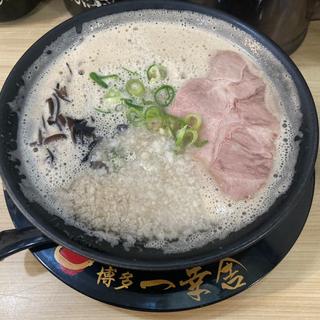 背脂マシラーメン(博多 一幸舎 京都拉麺小路店 （いっこうしゃ）)
