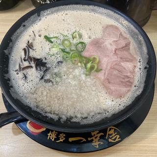 背脂マシラーメン