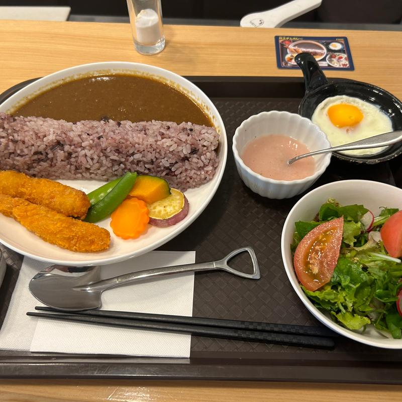 川上ダムカレー(カフェ ヴィーダー)