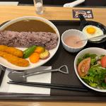 川上ダムカレー(カフェ ヴィーダー)