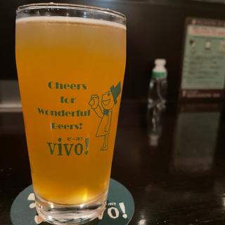 (vivo! beer + dining bar)