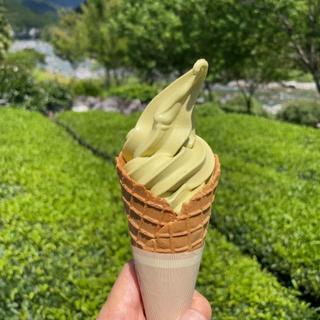 煎茶ソフトクリーム+お茶(池川茶園 )