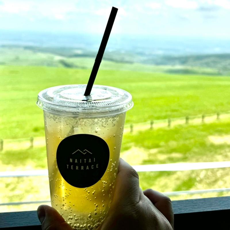 ジンジャーエール(ナイタイ高原レストハウス )