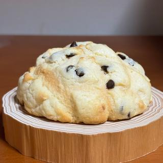 チョコチップメロンパン(焼きたてメロンパンポポ 新瑞橋店)