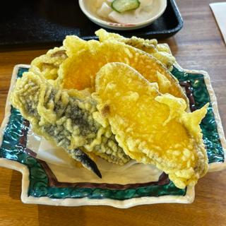 季節の天ぷら(武蔵野うどん　くわ郷)