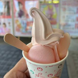 岩下の新生姜ソフト＆シャーベット(カフェ ニュージンジャー )