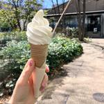 サンティソフトクリーム(FOOD&COMPANY)