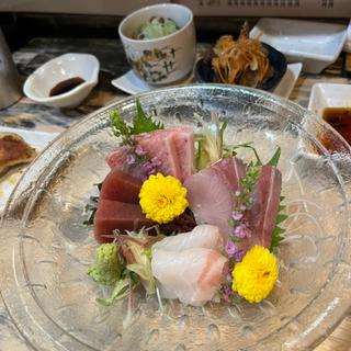 (仙川酒場 )
