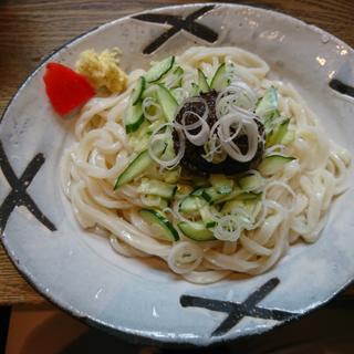じゃじゃ麺 (中)(白龍 本店 （パイロン）)
