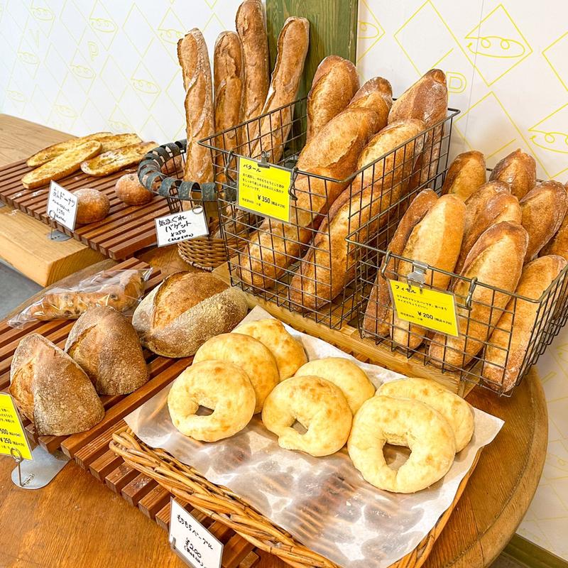 (ヴィンチ・パンドーロ)