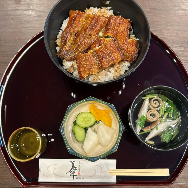 鰻丼並(うな昇 )