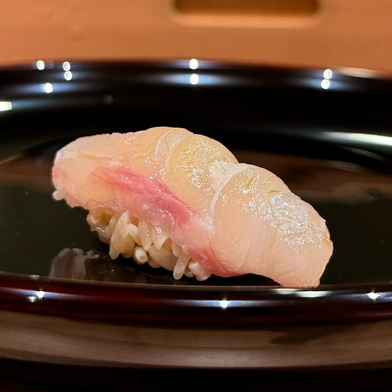 チャイロマルハタ(冨すし)