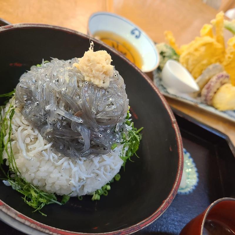 朝どり生しらす丼 鎌倉やさいの天麩羅(食事処 秋本)