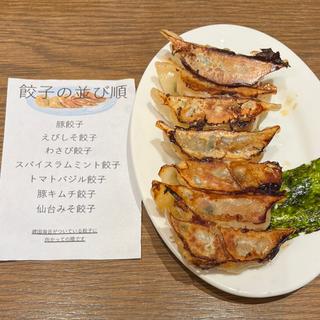 餃子　よくばり7種盛り！(クラフトビアマーケット仙台駅前店)