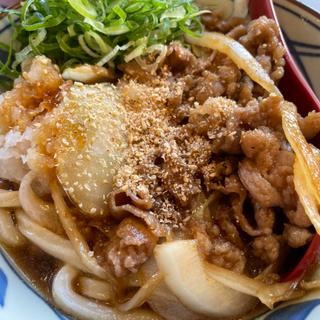 鬼おろし肉ぶっかけ(丸亀製麺小平)