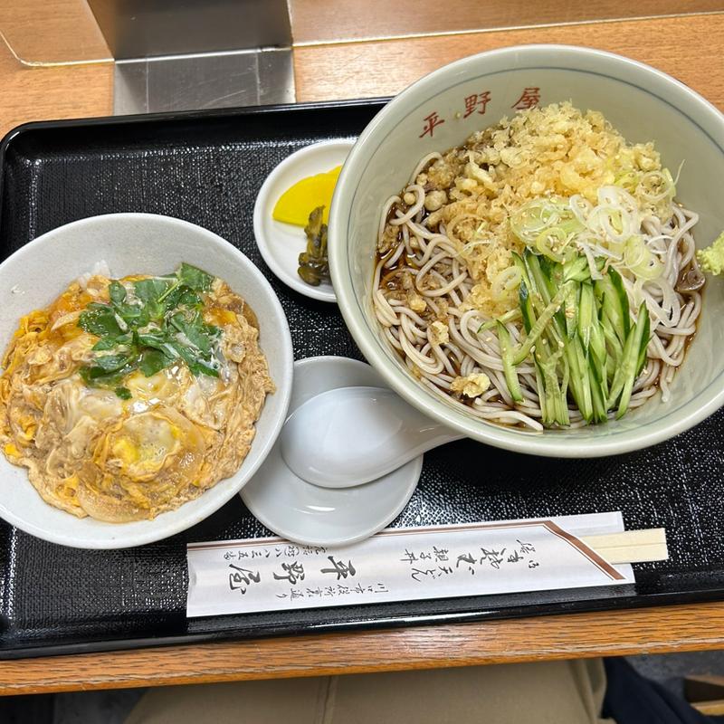 冷やしたぬきとミニ親子丼(平野屋)