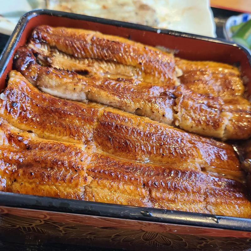 鰻重 松(たたみ家 （たたみや）)