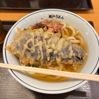 冷やしわかめうどん　長茄子天(瀬戸うどん 横浜北幸店 )