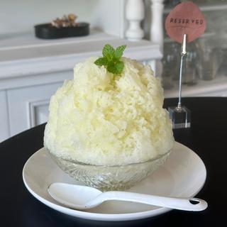 生メロン(氷と喫茶 ivy)