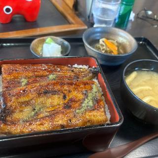 鰻(泉屋 )