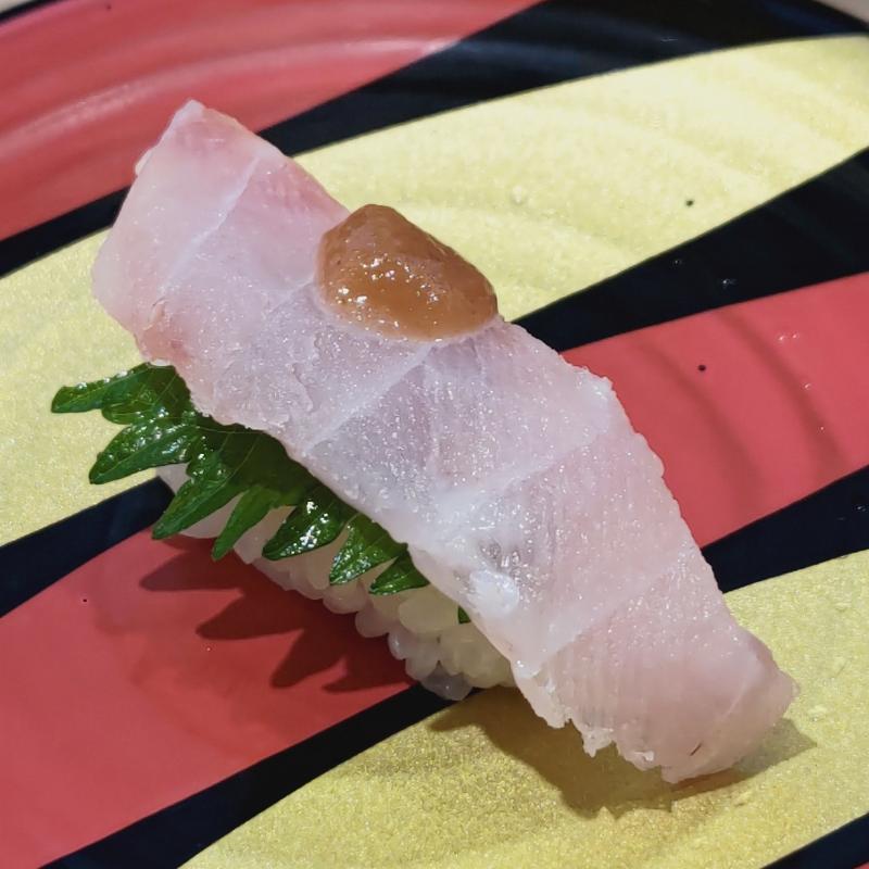 活〆真鯛 梅大葉(かっぱ寿司 上大岡ミオカ店)