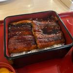 うなぎ二倍盛重