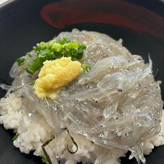 生シラス丼(田子の浦港 漁協食堂 )