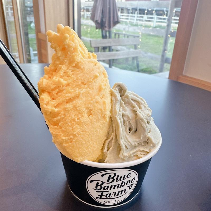 ジェラート（ダブル）(ブルーバンブーファームジェラートアンドカフェ)