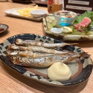 (魚の秀彩 流山おおたかの森)