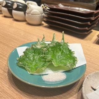 (魚の秀彩 流山おおたかの森)