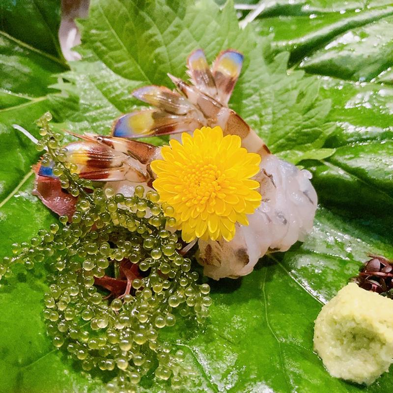 車海老おどり（二匹）(食遊亭 AOI （アオイ）)