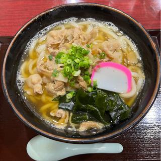 肉うどん(文ちゃんうどん )