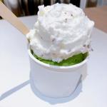 ちょっとカップW