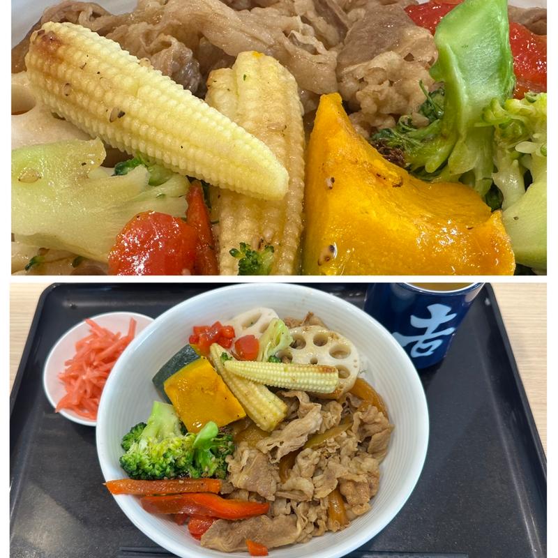 牛丼ON野菜(吉野家大和駅前店)