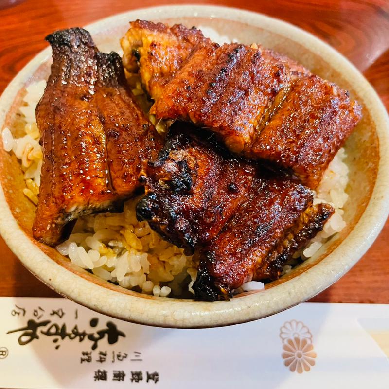 うなぎ丼(なまずや 一宮分店)