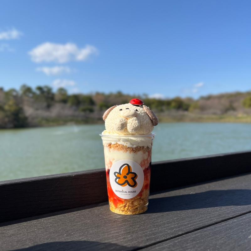 ワンちゃんパフェ(BOTANICAL HOUSE（ボタニカルハウス）)