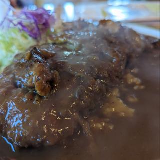 Lサイズとんかつカレー(アルバ （ALBA）)