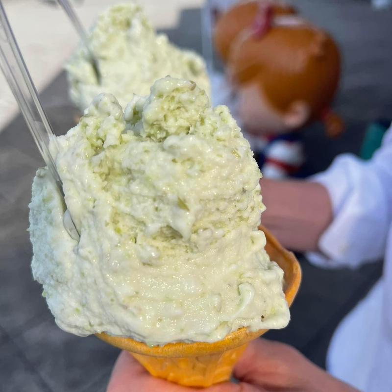 だだちゃ豆ジェラート(庄内観光物産館)