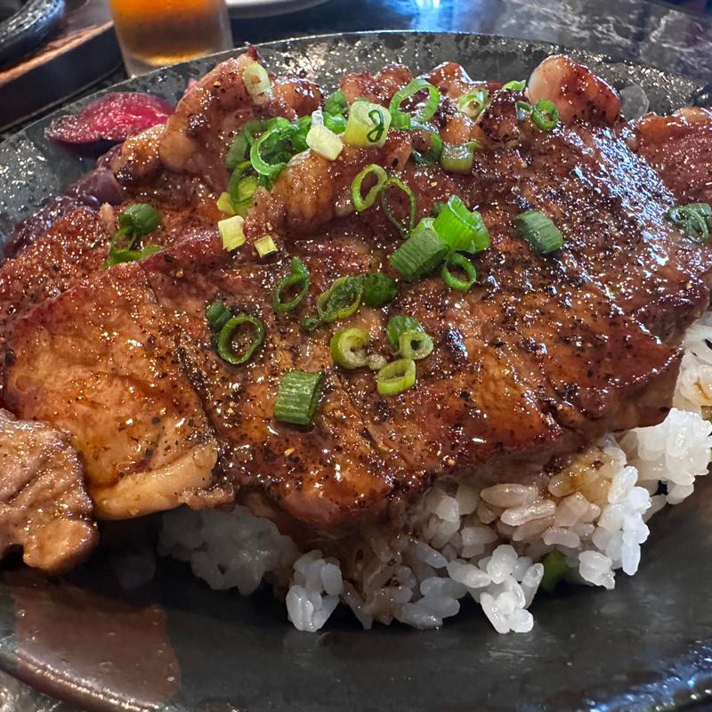 ステーキ丼ダブル(花もよう)