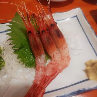シマエビ刺  3尾(ふさや 大門店)